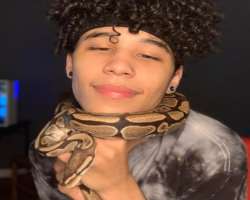 Vex is brave enough to hold a python in his neck Vex is brave enough to hold a python in his neck.